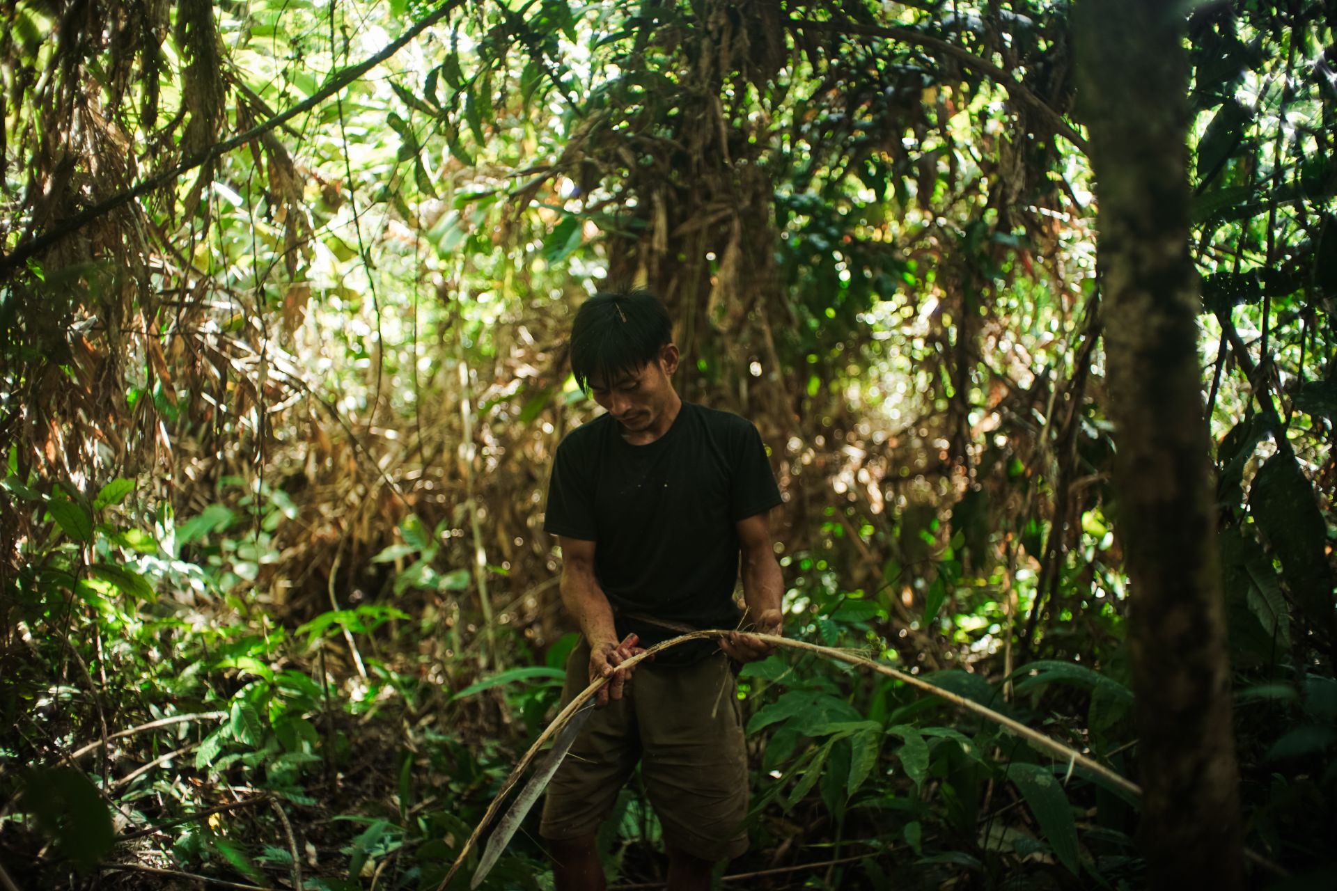 P2RK Panen Rotan