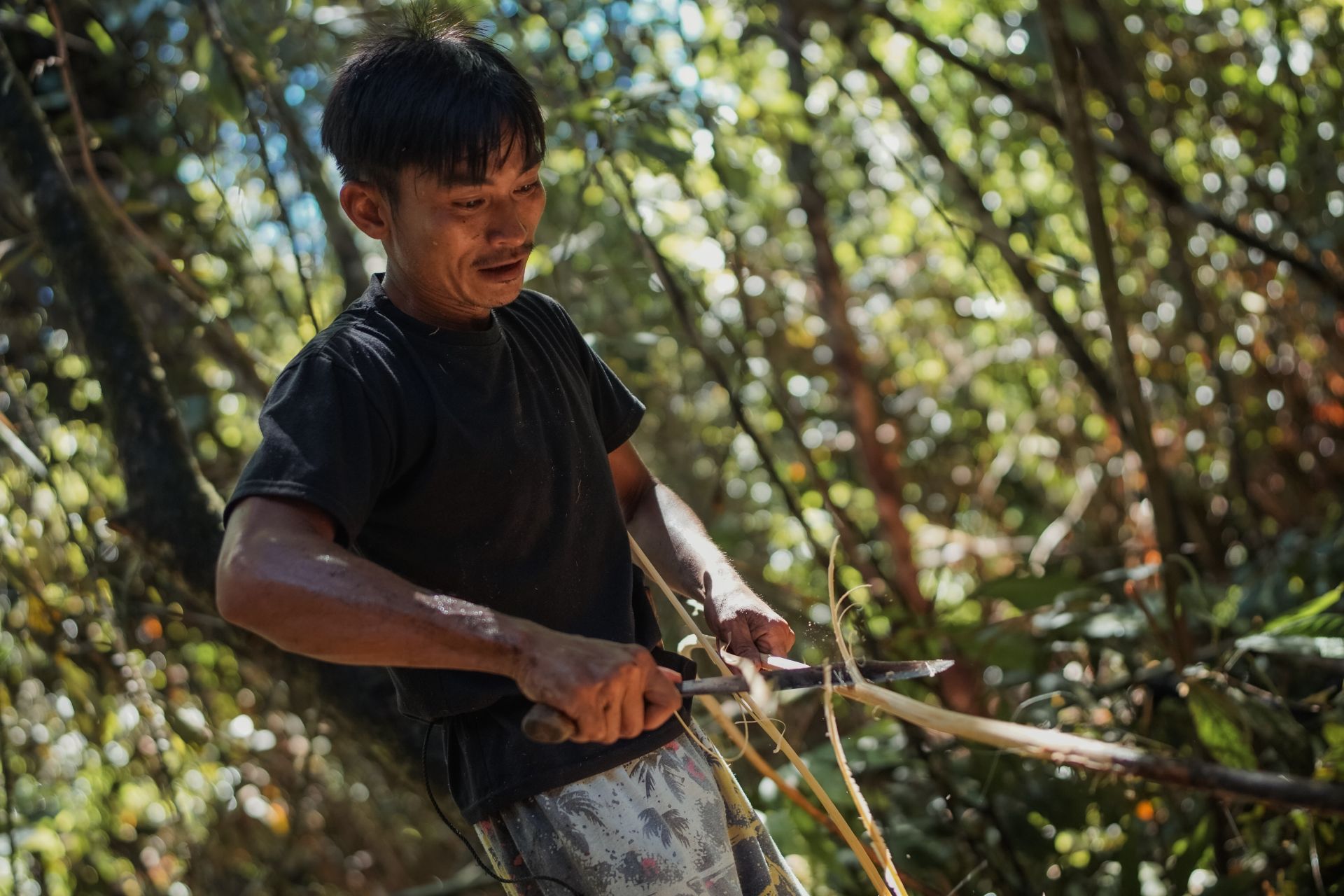 P2RK Panen Rotan