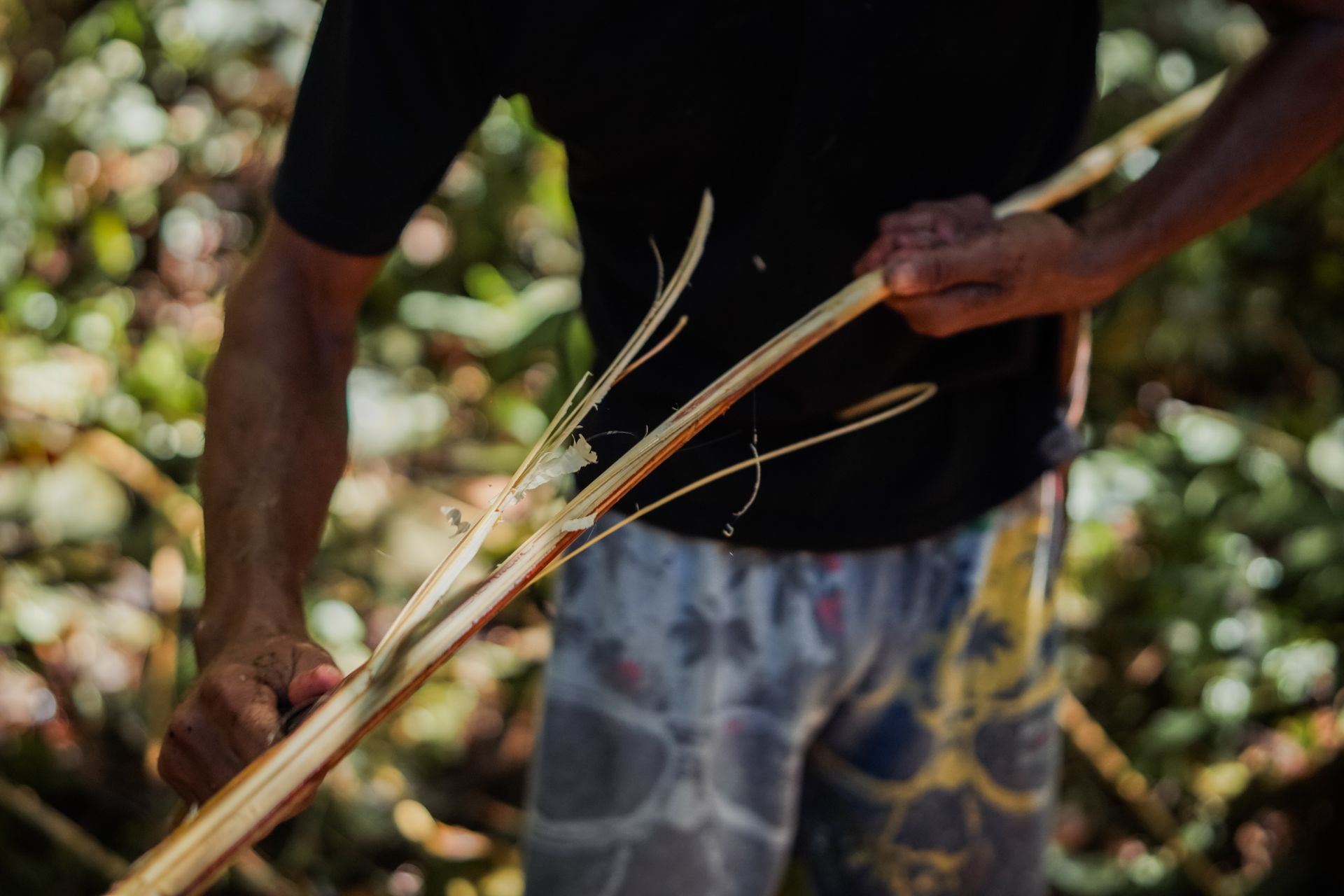 P2RK Panen Rotan