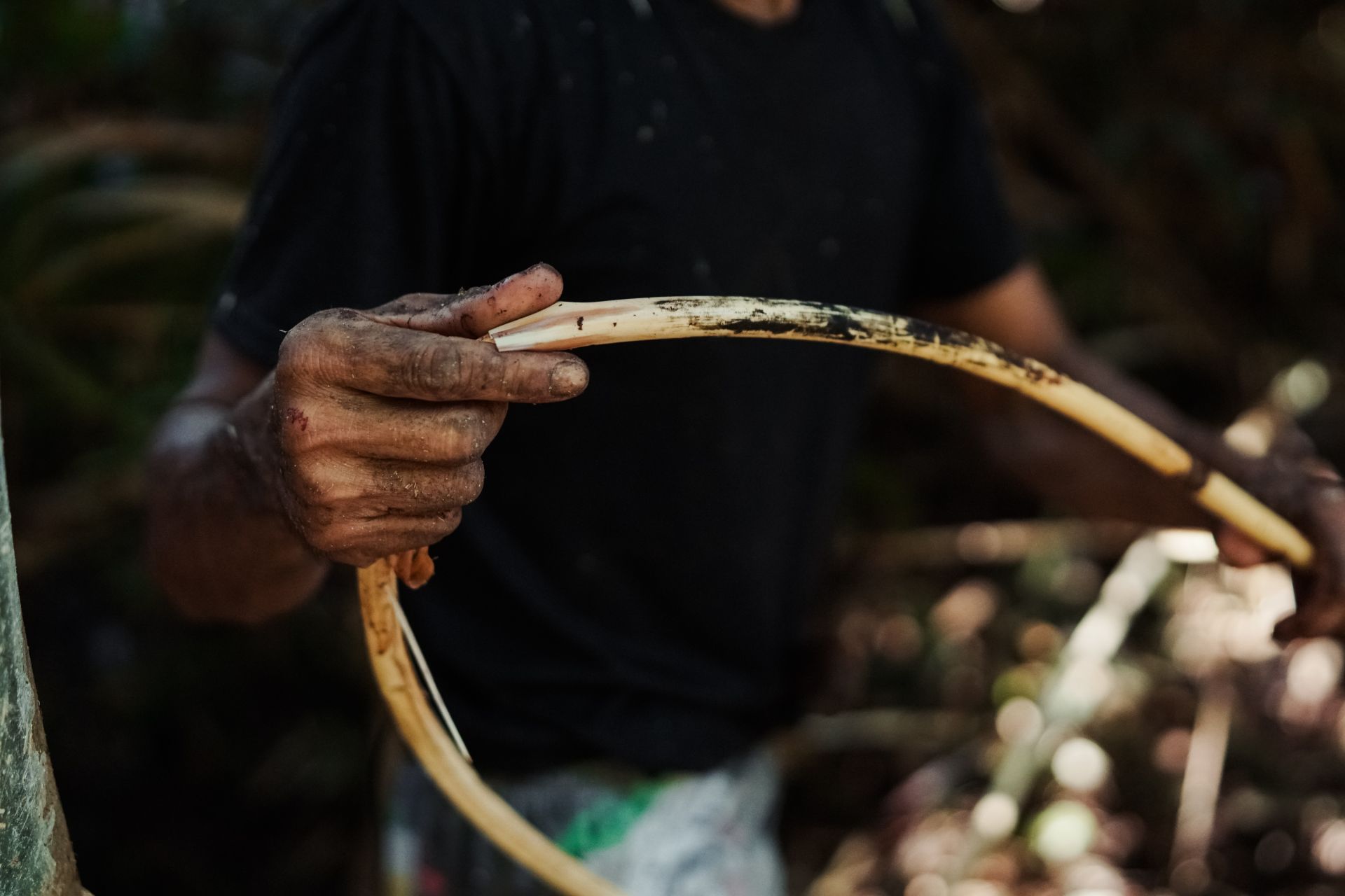 P2RK Panen Rotan