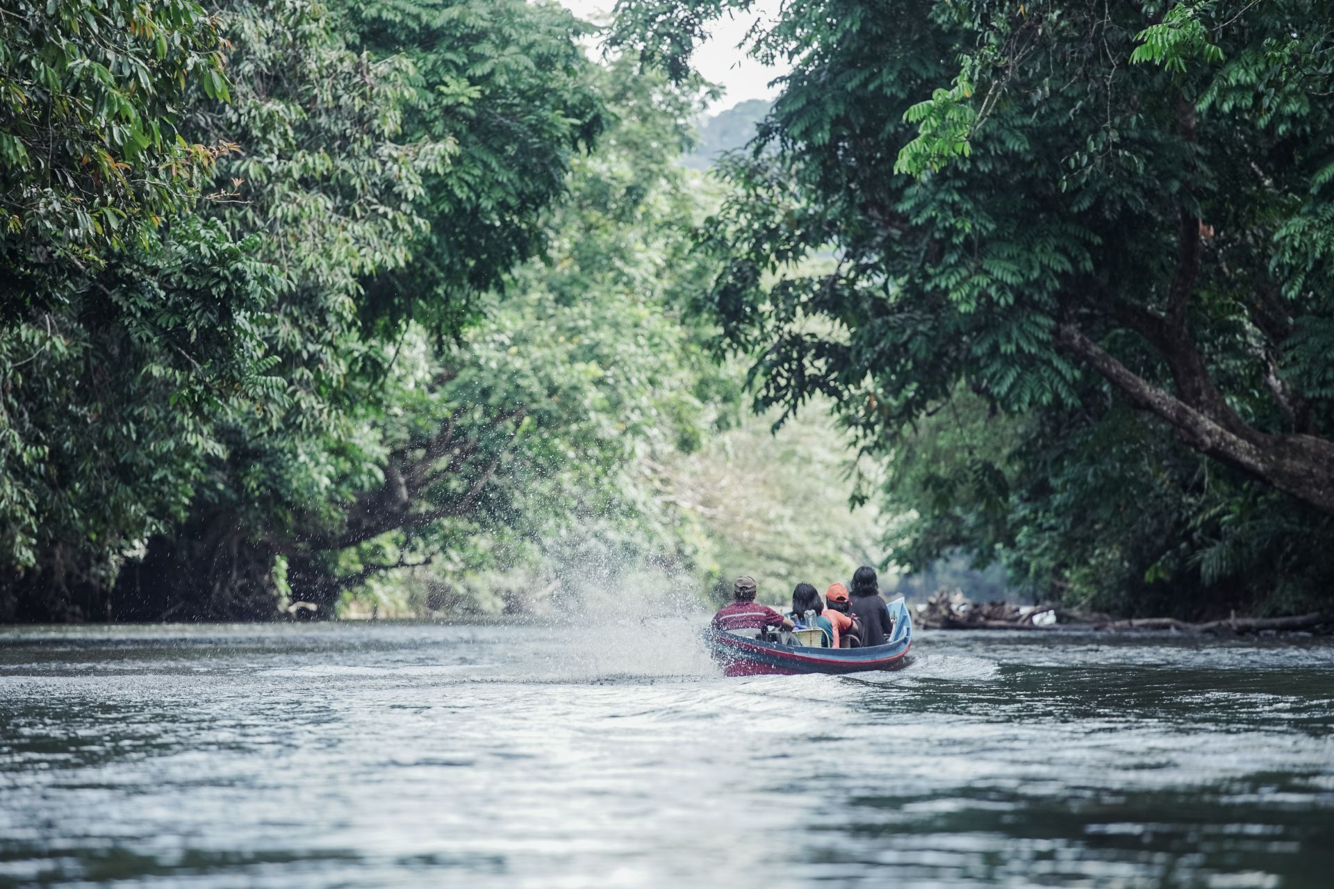 P2RK Panen Rotan