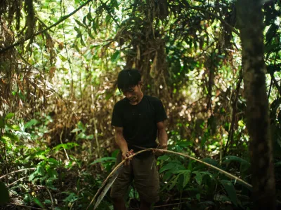 P2RK Panen Rotan