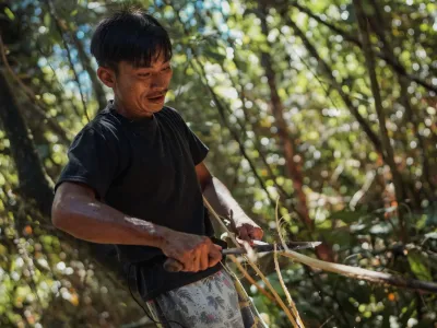 P2RK Panen Rotan