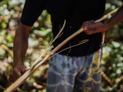 P2RK Panen Rotan