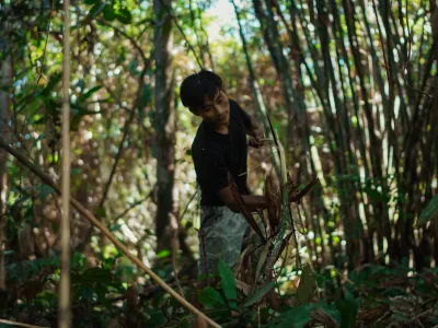 P2RK Panen Rotan