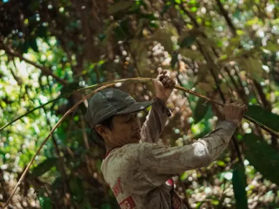 P2RK Panen Rotan