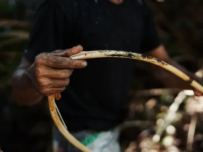 P2RK Panen Rotan