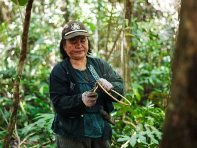 P2RK Panen Rotan