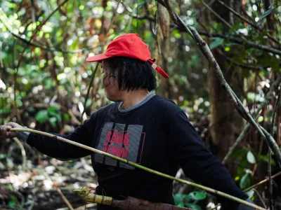 P2RK Panen Rotan